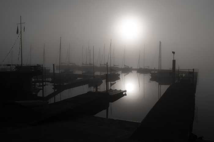 Ralf Steinberger from Milan Berlin  Munich Italy  Germany