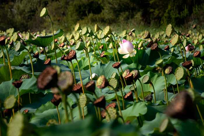 Ralf Steinberger from Milan Berlin  Munich Italy  Germany