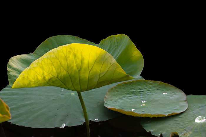 Ralf Steinberger from Milan Berlin  Munich Italy  Germany