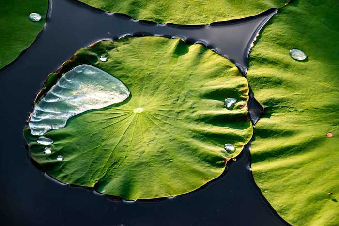 Ralf Steinberger from Milan Berlin  Munich Italy  Germany