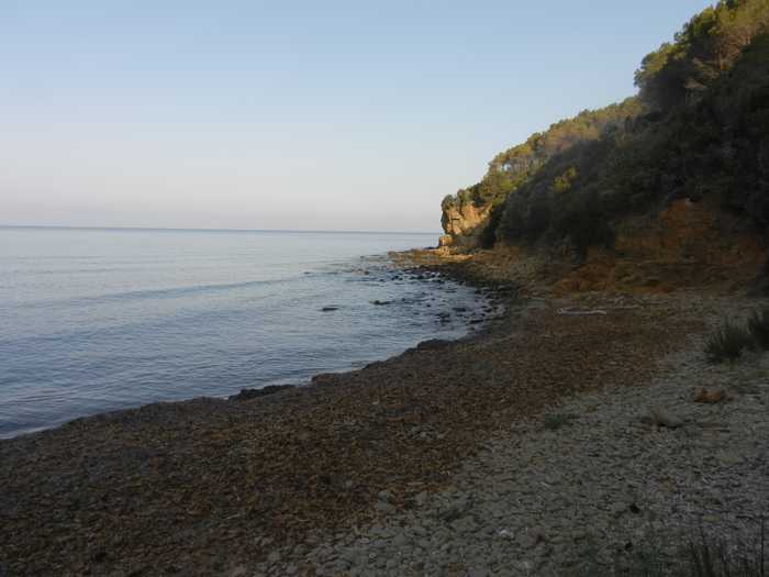 Alessandro Gigliotti