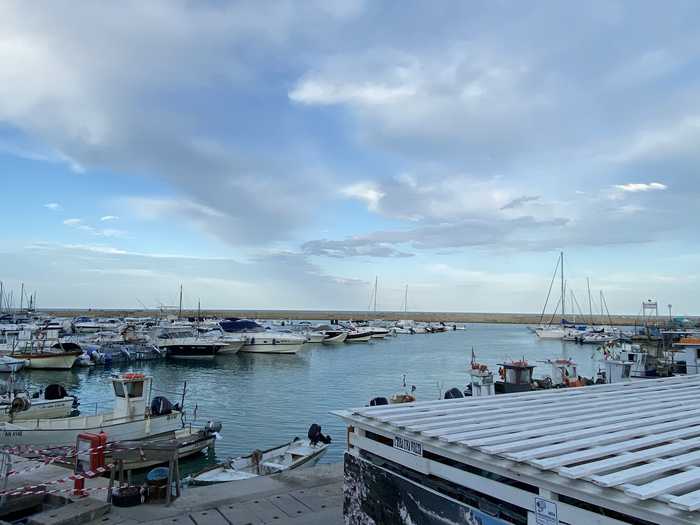 Lasagnolo at Italian Wikipedia