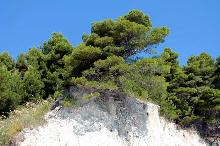 Antonio Castagna from Teramo Italy