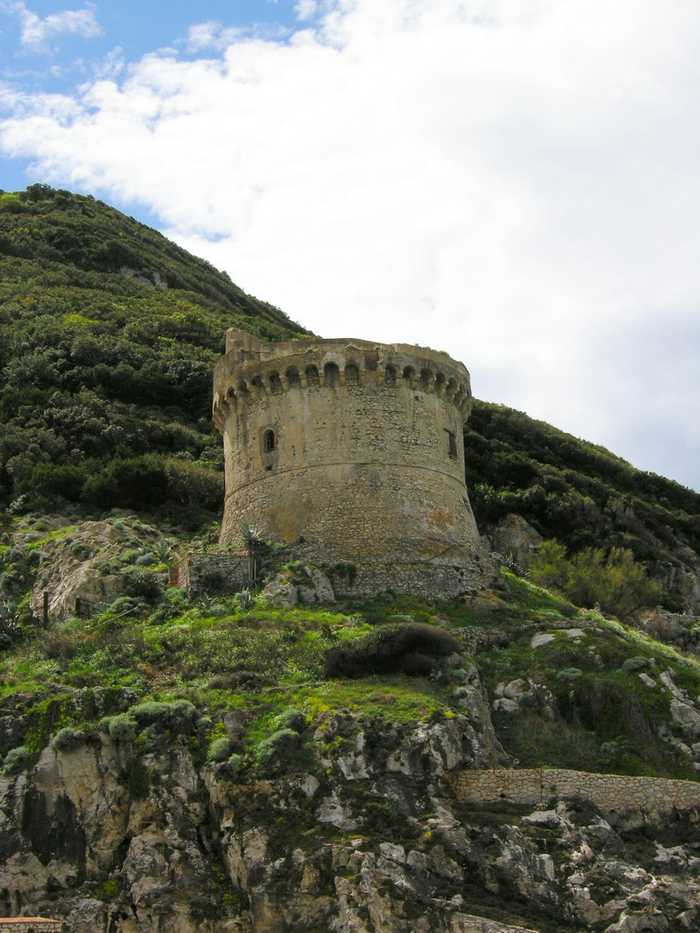 YellowCat from Roma Italy