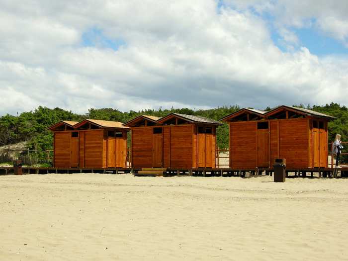 YellowCat from Roma Italy