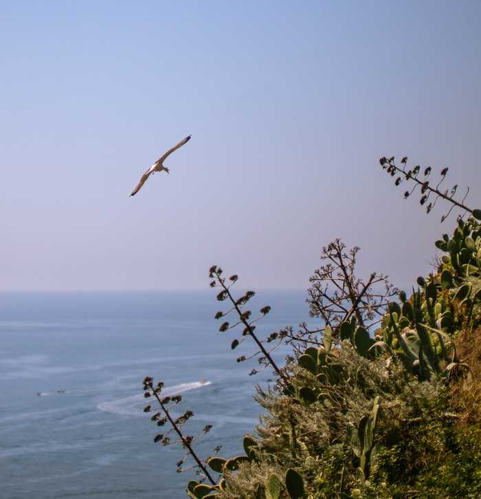 Paolo Gamba from Paris France