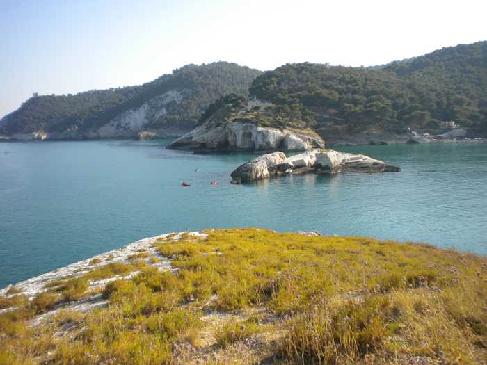ildirettore