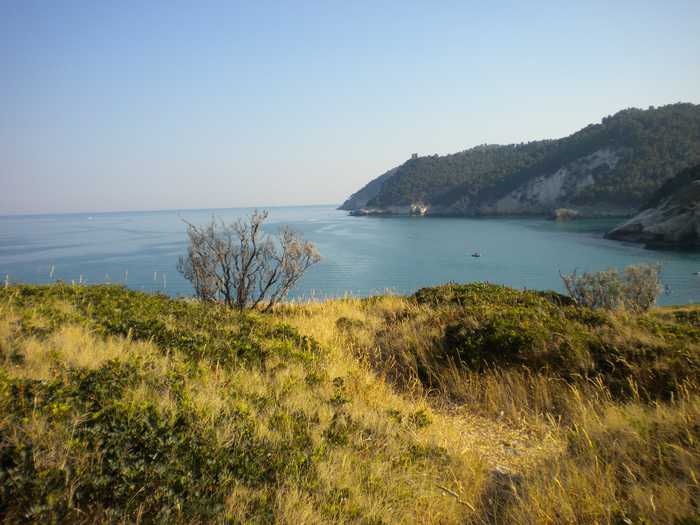 ildirettore