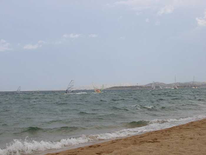 brunobarbato
