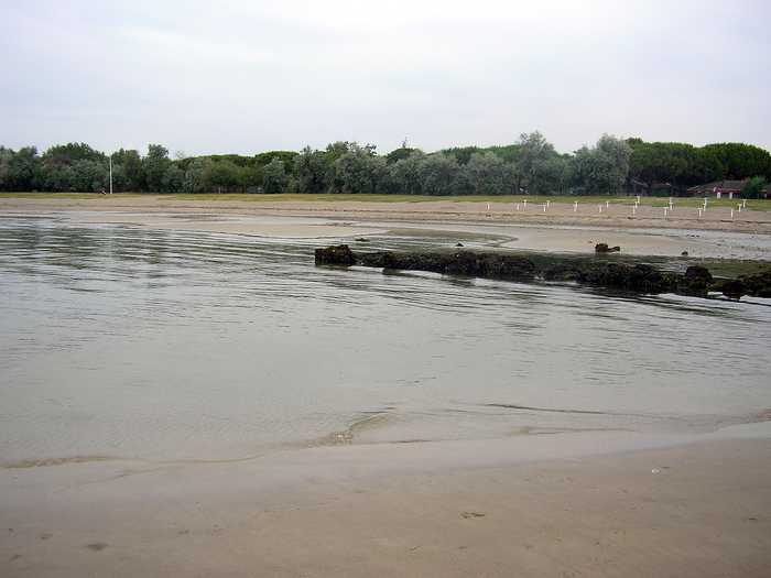 Magdus Laszló  Hunga