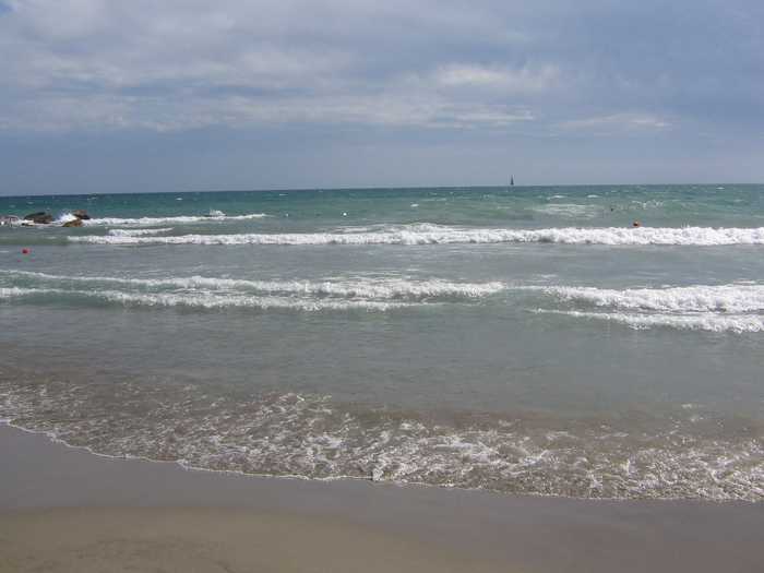 Incola