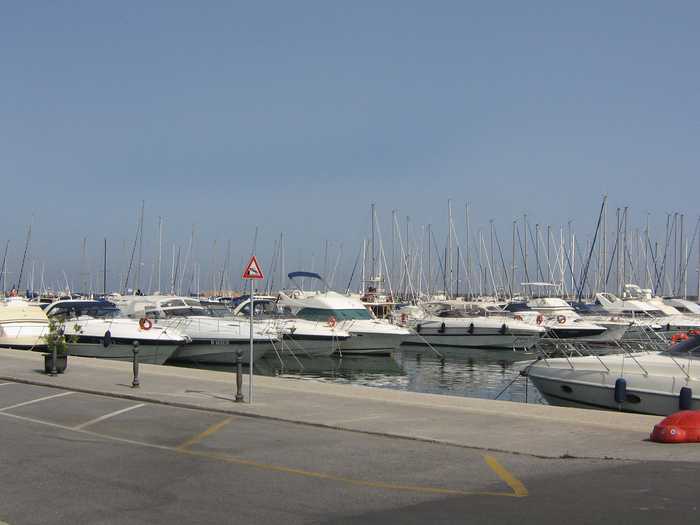 Incola
