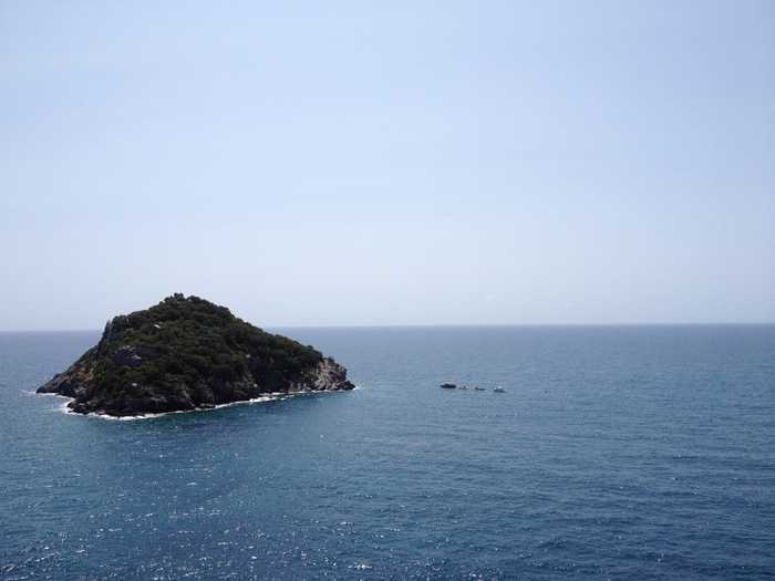 Silvia Franceschetti