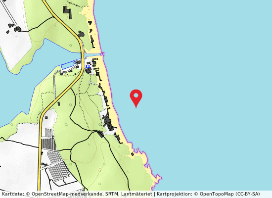 Lido dei pini på kartan